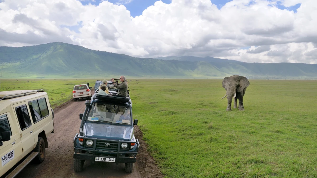 discover-the-heart-of-rwanda-a-7-day-cultural-and-wildlife