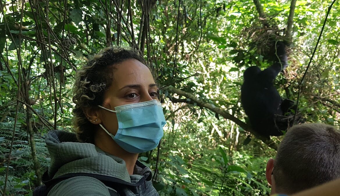what-is-gorilla-trekking