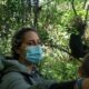 what-is-gorilla-trekking